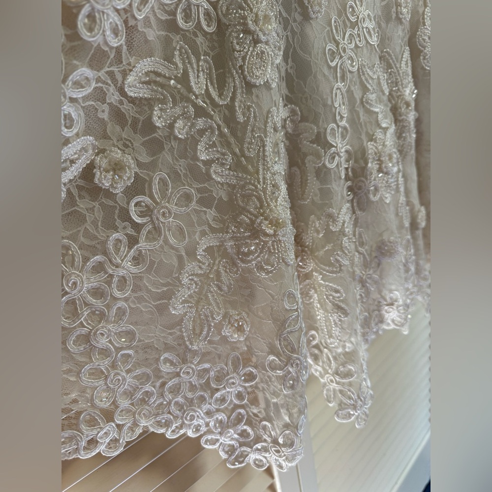 Like New!! Sue Wong Size 8 Ivory Lace Beaded Dress👰🏼‍♀️ - Picture 4 of 11